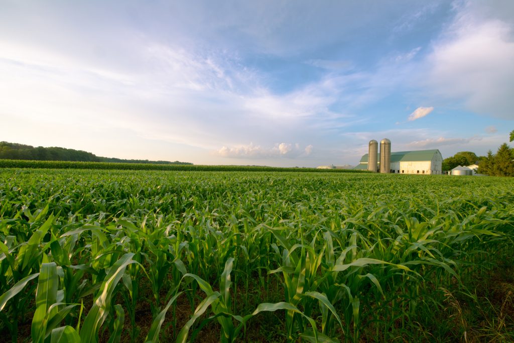 Farm_Ranch_Corn_Silo